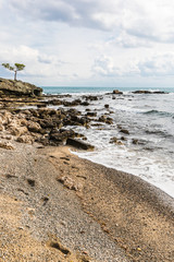 Mediterranean coast in the surroundings of the ancient town Phaselis, Turkey