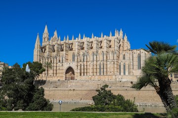 La Seu Cathedral Palma de Mallorca in Spain on a sunny day with blue sky 