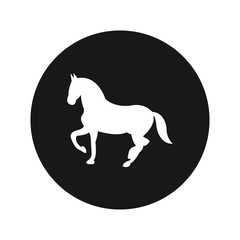 Horse vector icon