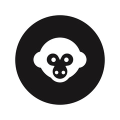 Monkey head vector icon