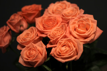 Fresh garden pink roses bouquet close up background