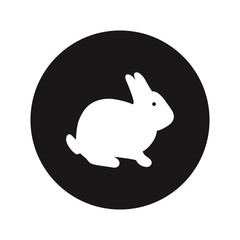 Rabbit vector icon