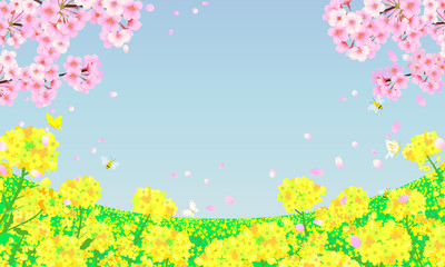 菜の花畑と桜の木　春の背景素材