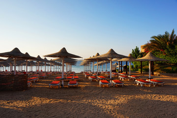 beach in the egypt
