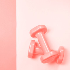 gray dumbbells on the background Living coral color 2019. Color palette, TONING DUOTON