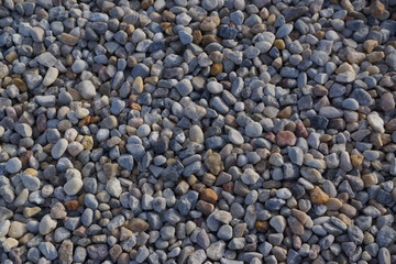 Los suelos por los que caminamos casi a diario