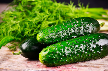 Cucumber on wooden plate and vintage background. Selective focus on cucumber