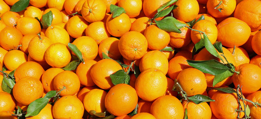 background of many ripe oranges with leaves