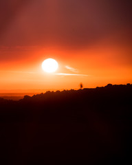 Man lost exploring the beauty of the word with sunset background