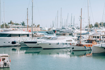yachts in harbor