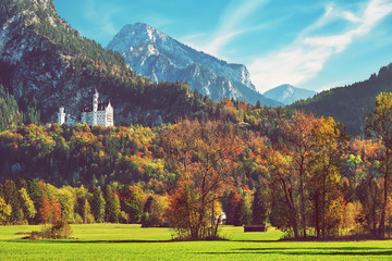 Beautiful Neuschwanstein castle in Bavaria, Germany, popular travel destination - obrazy, fototapety, plakaty