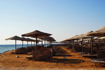 beach in the egypt