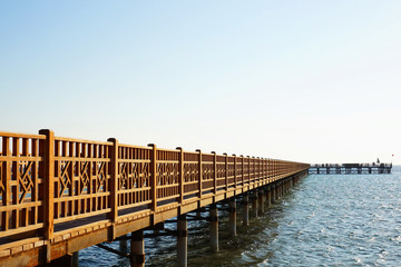 Obraz premium mole in the egypt sea