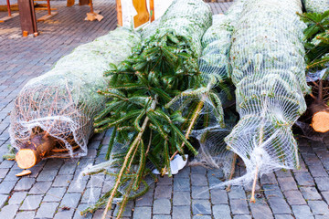 Marketplace with Christmas trees for sale. Save our forests concept. Nature and tree saving concept. Packages of Christmas trees on the ground
