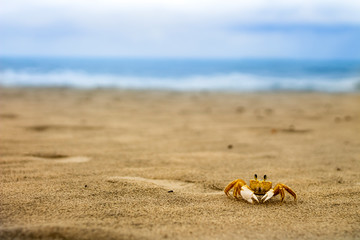 Praia