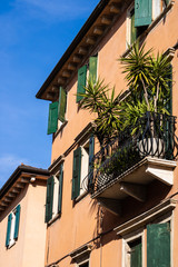Fototapeta na wymiar Italian style house with the green windowframes and the palm on the balcony, Verona, Italy - Image