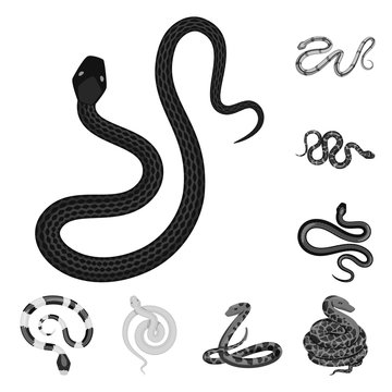 Vector design of harm and bite logo. Collection of harm and reptile stock vector illustration.