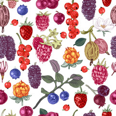 Seamless pattern with hand drawn berries