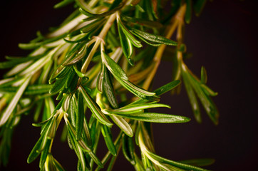 Rosemary bound on a wooden board