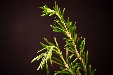 Rosemary bound on a wooden board