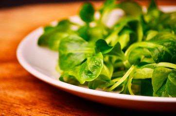 Valerianella locusta, corn salad, lamb's lettuce