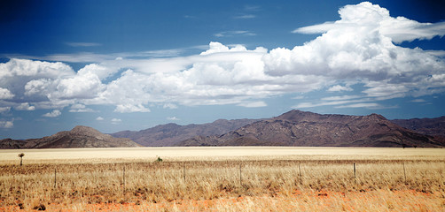 Namib Desert, Africa