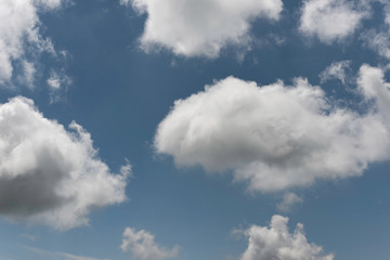 cuckooclouds