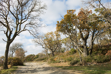 Small Utrish, Caucasus,  Russia