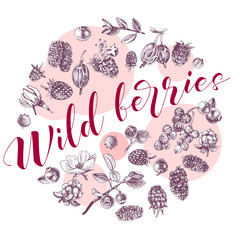 Circle composition with hand drawn berries