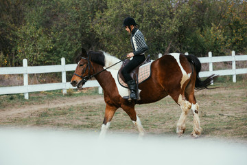 woman riding horse outdoor on polygon