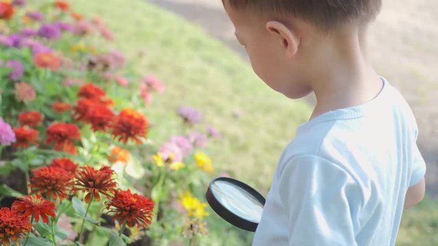 Cute little Asian 2 - 3 years old toddler baby boy child exploring environment by looking through a magnifying glass in sunny day at beautiful garden, kid first experience & discovery concept