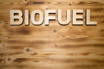 BIOFUEL word made with building blocks on wooden board.