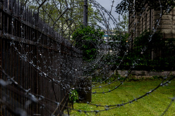 Stacheldraht für die Füxe