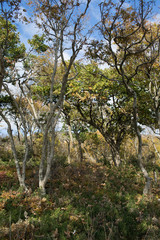 Small Utrish, Caucasus,  Russia