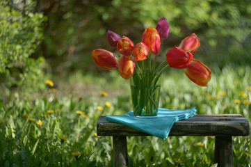 a bouquet of red tulips on a bench in the garden on blurred background