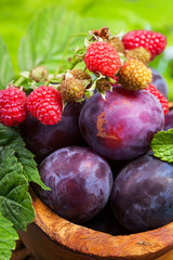 Closeup still life of plums and red raspberry with green leaves on wooden dish, summer autumn fall harvest