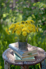 bunch of yellow dandelions on a stack of books on a shabby stooll on a background of green grass in the garden