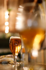 golden isolated beer at night in pub. Bokeh beer glass