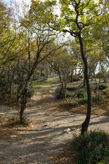 Small Utrish, Caucasus,  Russia