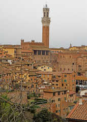 Obraz premium the cityscape of italian city Siena in Toscana