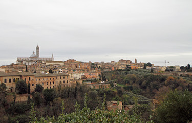 Obraz premium the cityscape of italian city Siena in Tuscany region