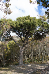 Small Utrish, Caucasus,  Russia