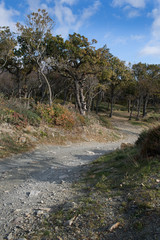 Small Utrish, Caucasus,  Russia