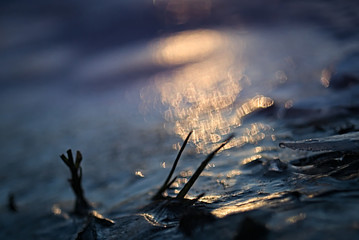 Holz friert in einer eisigen Tundra