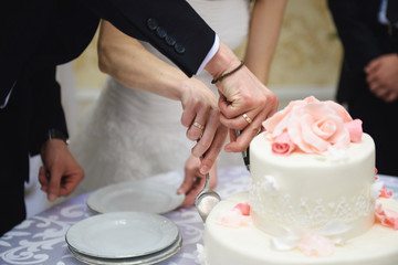 Obraz na płótnie Canvas bride and groom cutting elegant cake