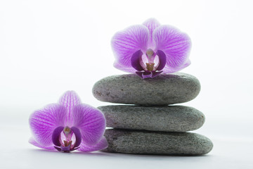 Pile of three grey roundstones with an orchid blossom on top and next to it
