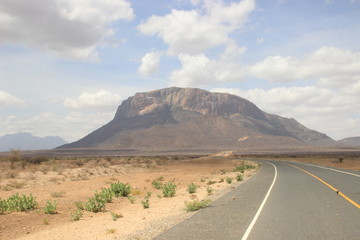 African dry hot savanna with dried plants, asphalt road and mountains in the background