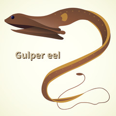 Gulper eel