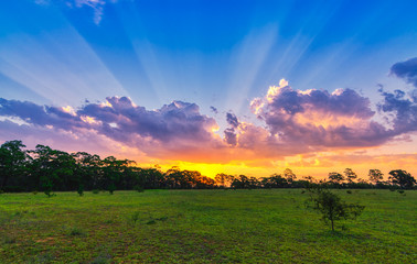 Fototapeta premium Blue golden hour sunset