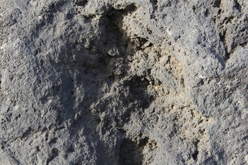 Stein in Großaufnahme, ideal als Hintergrung
